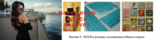apvp Пестово