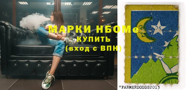 мдпв Арсеньев