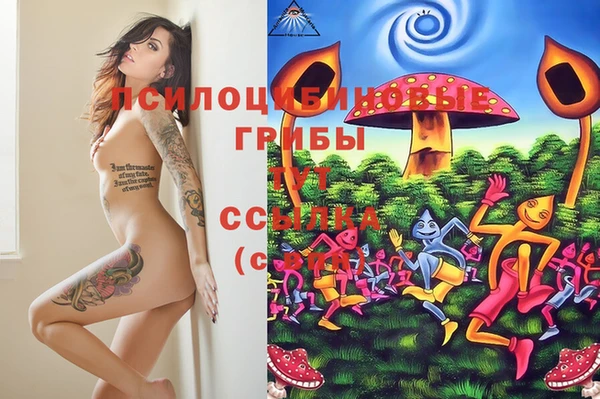 сатива Армянск