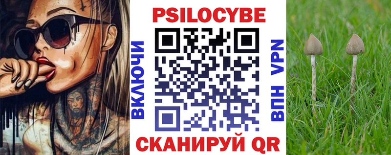Псилоцибиновые грибы Cubensis  Ступино 