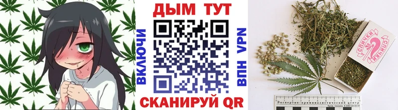 Бошки марихуана THC 21%  Ступино 